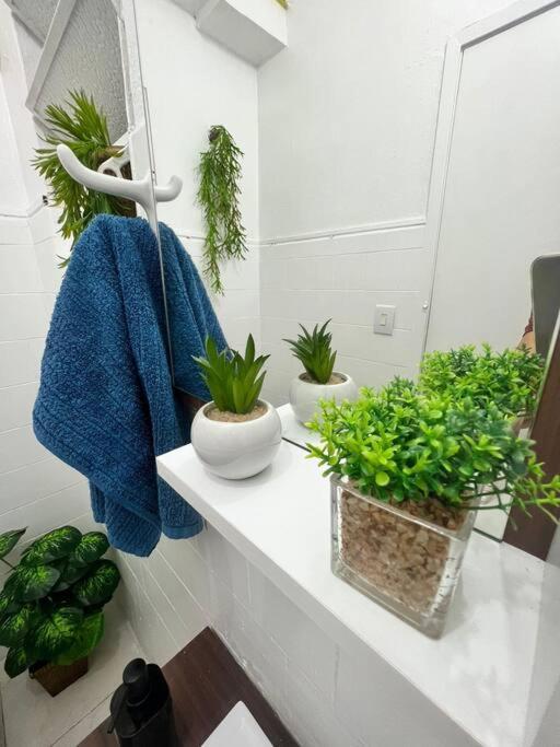 3 Minutos Da Nsc1137-505 Apartamento